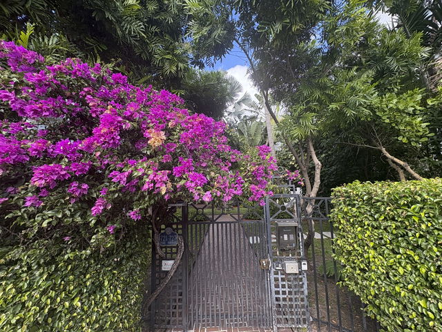 The Park Vintage Condo photo 2